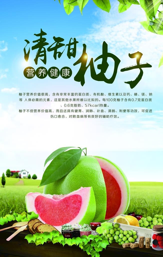 柚子海报图片(3543x5315)psd模版下载