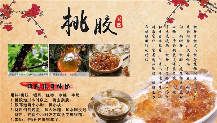 桃胶图片cdr矢量模版下载