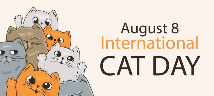 卡通猫图片