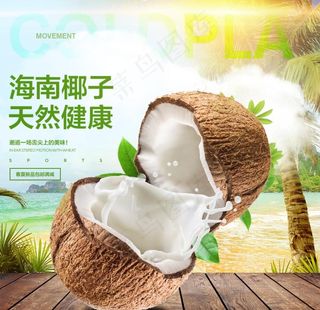 海南椰子图片