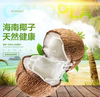 海南椰子图片