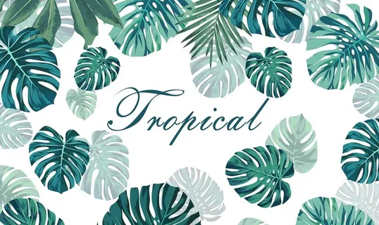 北欧植物背景墙图片