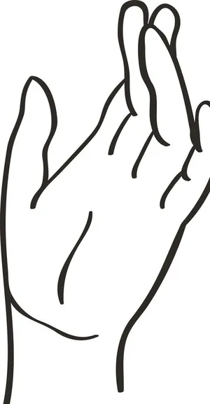 线描手图片