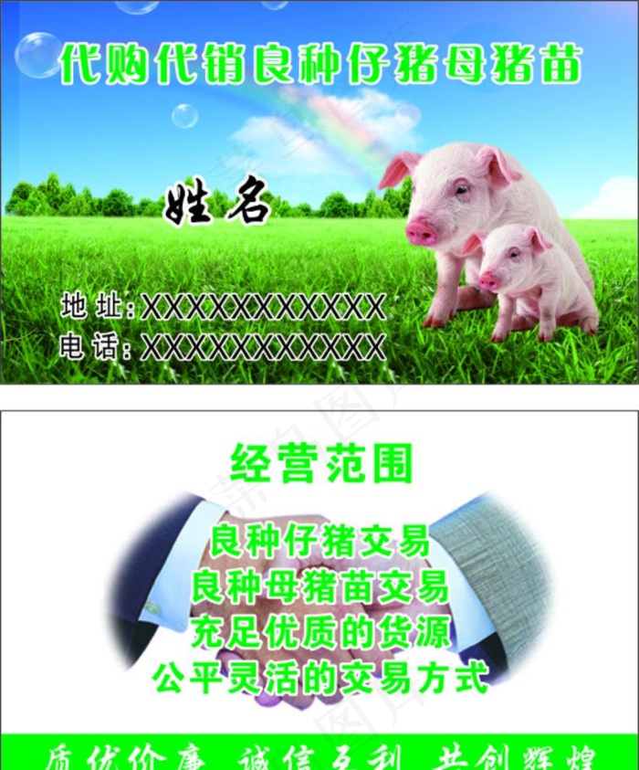 仔猪图片cdr矢量模版下载