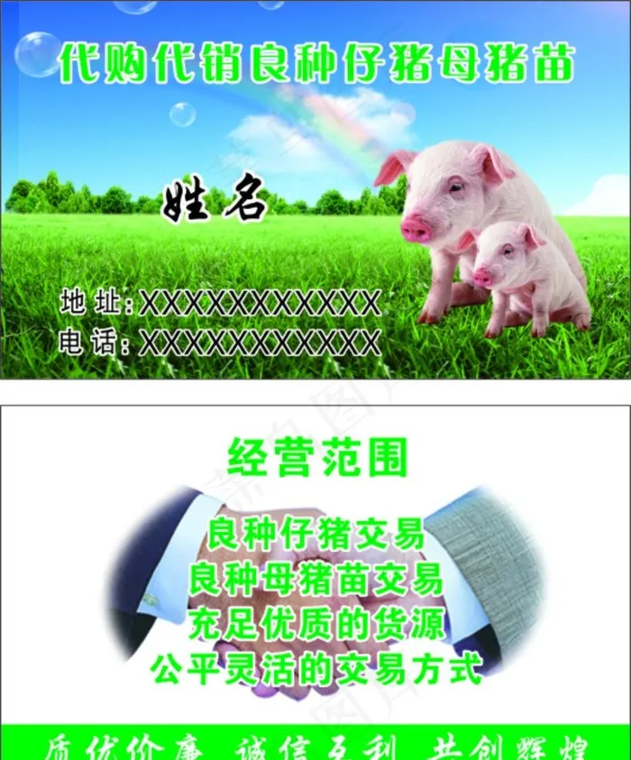仔猪图片cdr矢量模版下载