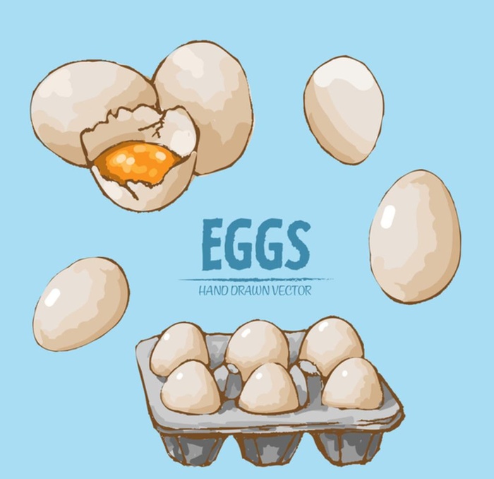 手绘鸡蛋图片eps,ai矢量模版下载