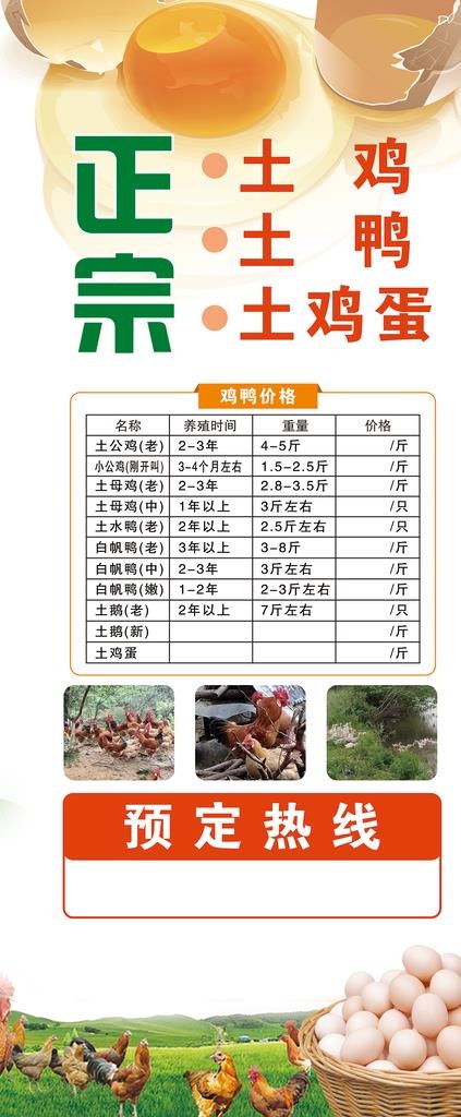土鸡海报图片psd模版下载