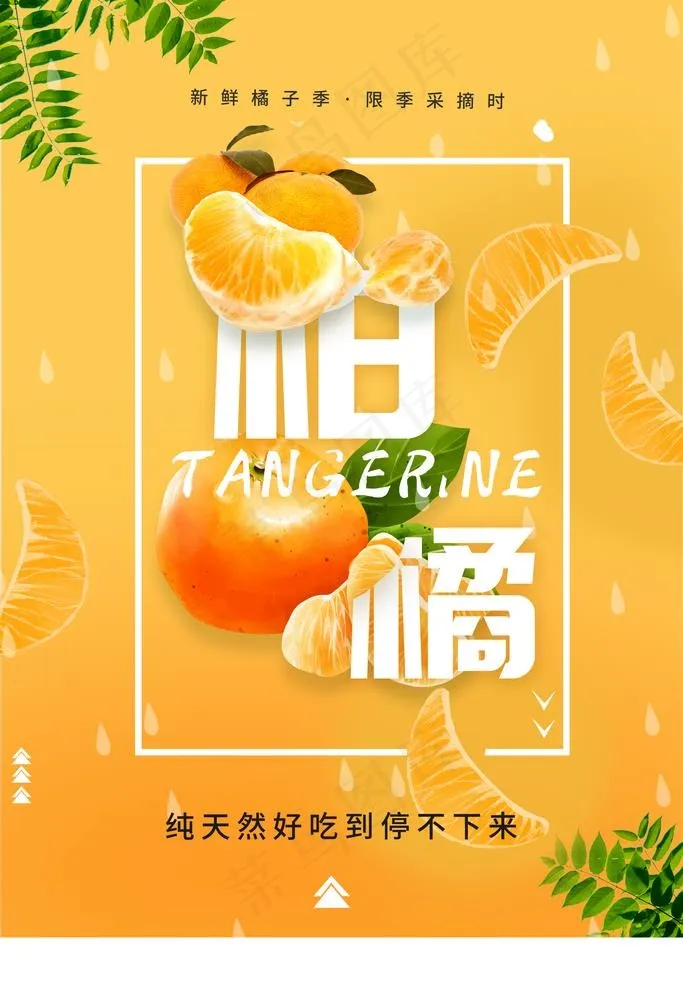 橘子图片(3543x5315)psd模版下载