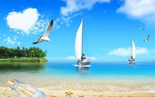 海边帆船海鸥图片