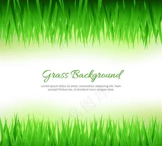 草背景图片