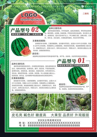 西瓜传单图片