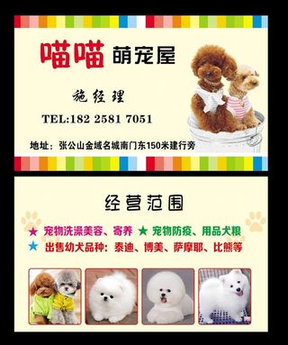 宠物名片图片