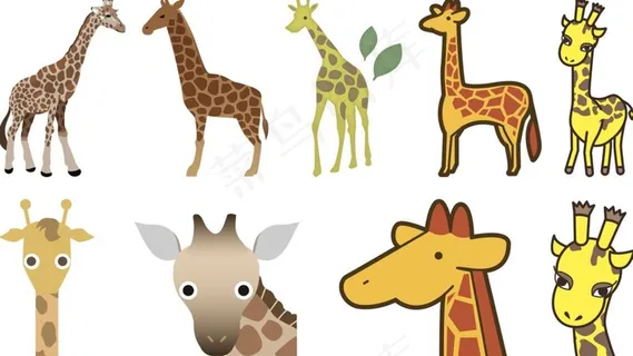 矢量长颈鹿图片
