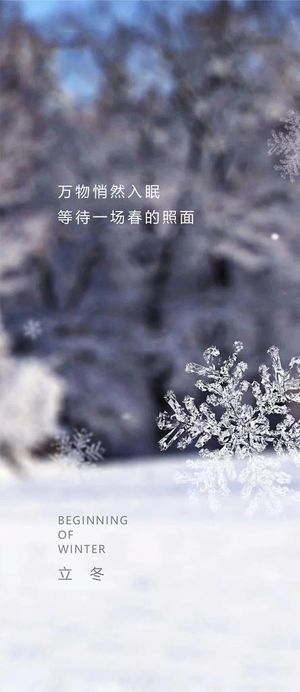 立冬节气海报图片