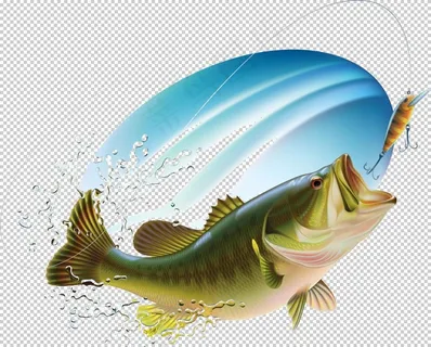 钓鱼图片 钓鱼图片