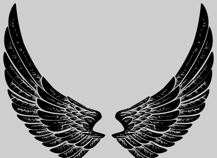 翅膀图片