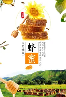 蜂蜜图片