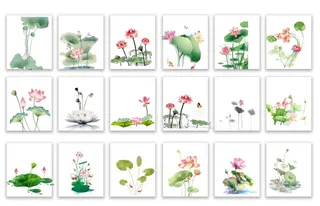 荷花图组合图片