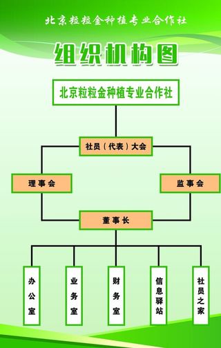 组织机构图图片