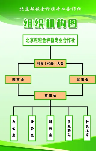 组织机构图图片