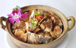 沙锅鱼头煲图片