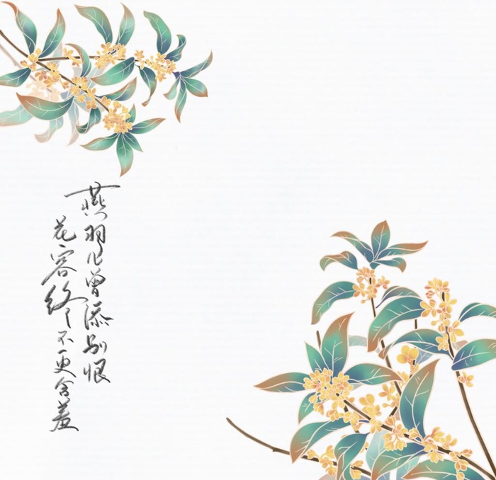 国风插画桂花素材图片(2048x2048)psd模版下载