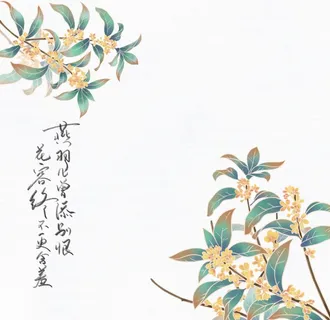 国风插画桂花素材图片 国风插画桂花素材图片