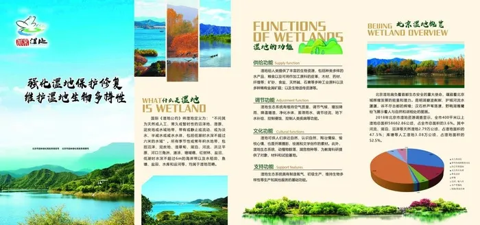 强化湿地保护修复图片(5678x2839)psd模版下载