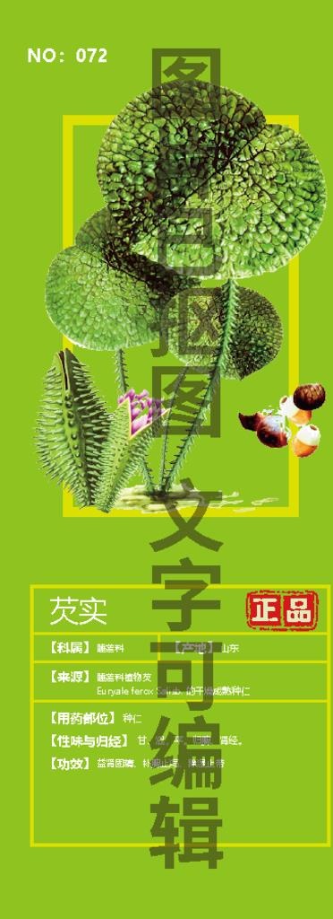 芡实图片ai矢量模版下载