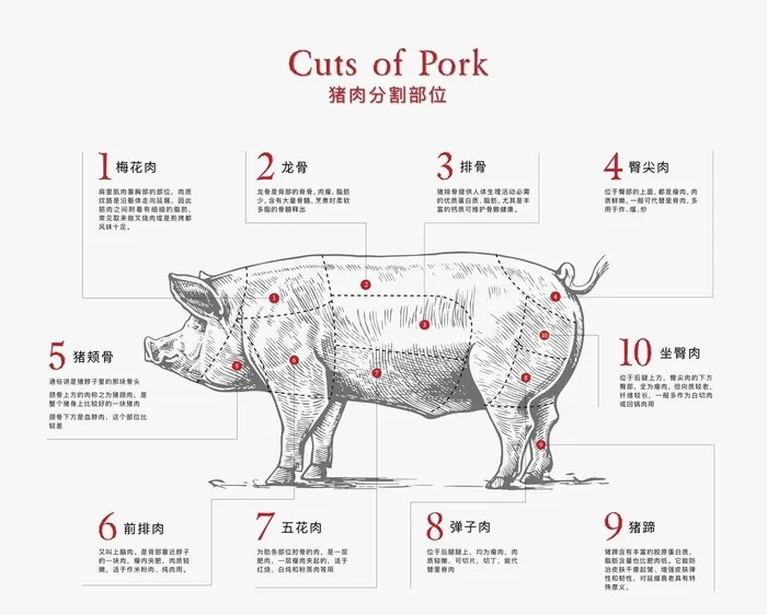 猪头分割图图片ai矢量模版下载