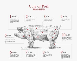 猪头分割图图片