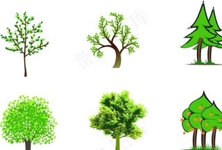 矢量树图片