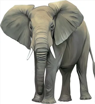 卡通大象图片