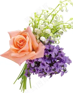 鲜花图片 鲜花图片