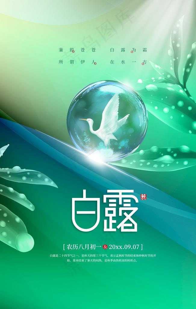 白露图片psd模版下载