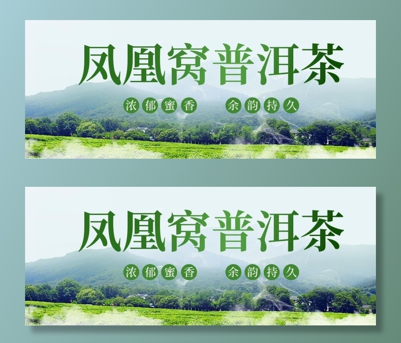 普洱茶banner图片
