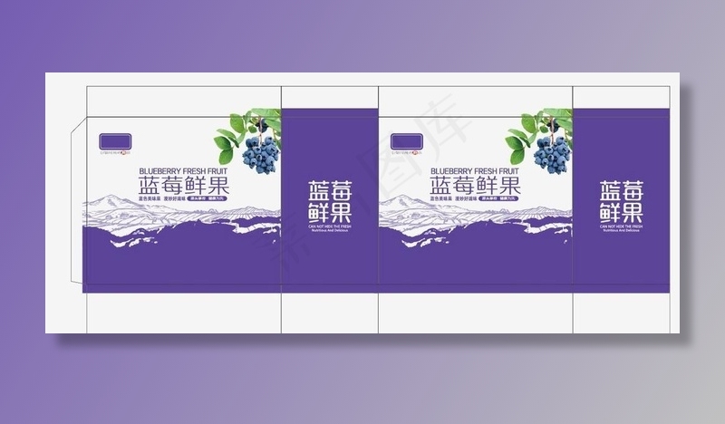 蓝莓图片ai矢量模版下载