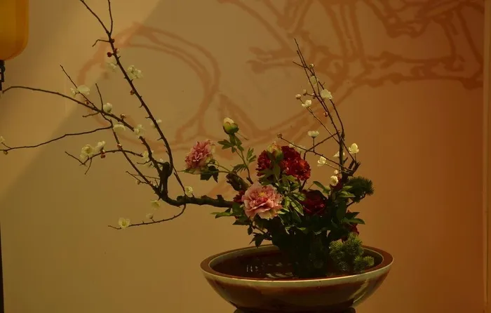 插花图片