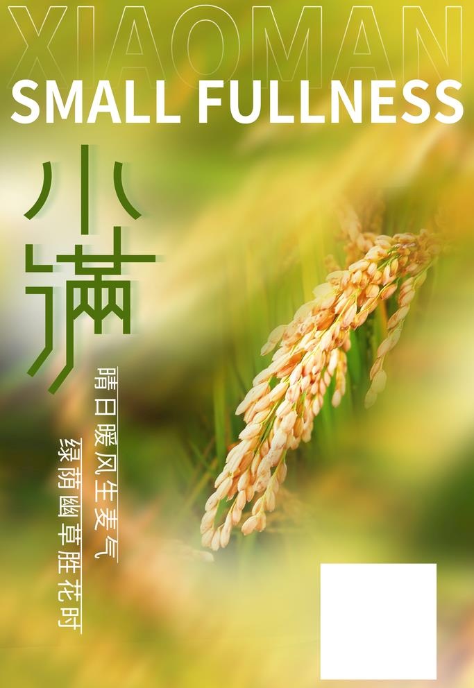 24节气小满图片(3543x5315)psd模版下载