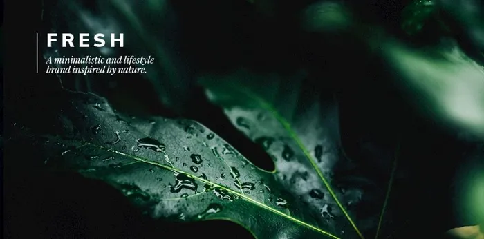 森系植物背景图片(1200x630)psd模版下载