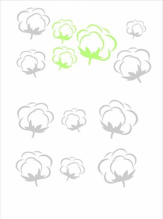 棉花图片