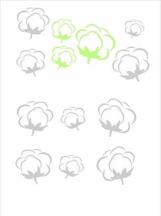 棉花图片