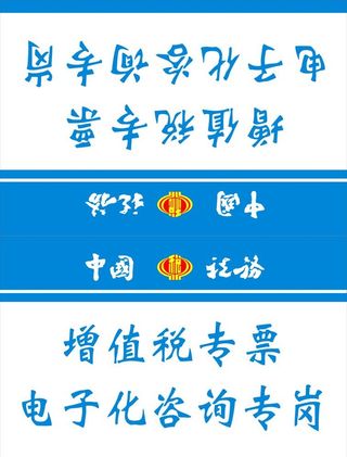 增值税专窗图片