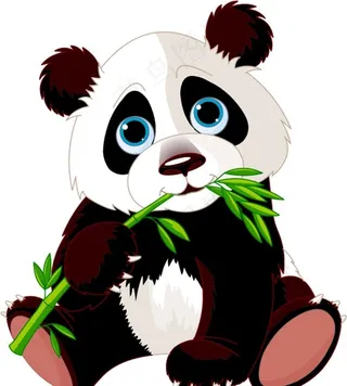 熊猫图片