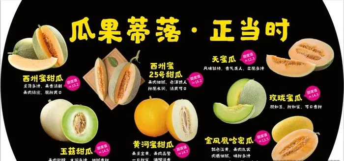 各种甜瓜图片
