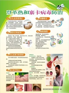 登革热和寨卡病毒防治海报图片