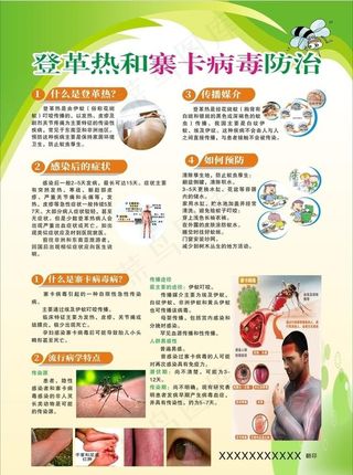 登革热和寨卡病毒防治海报图片