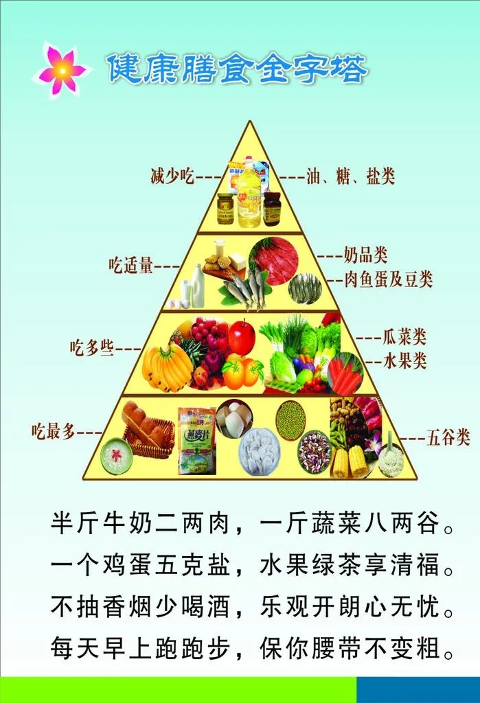 健康膳食金字塔图片cdr矢量模版下载