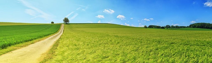 风景图片