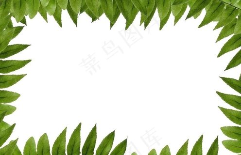 植物边框图片